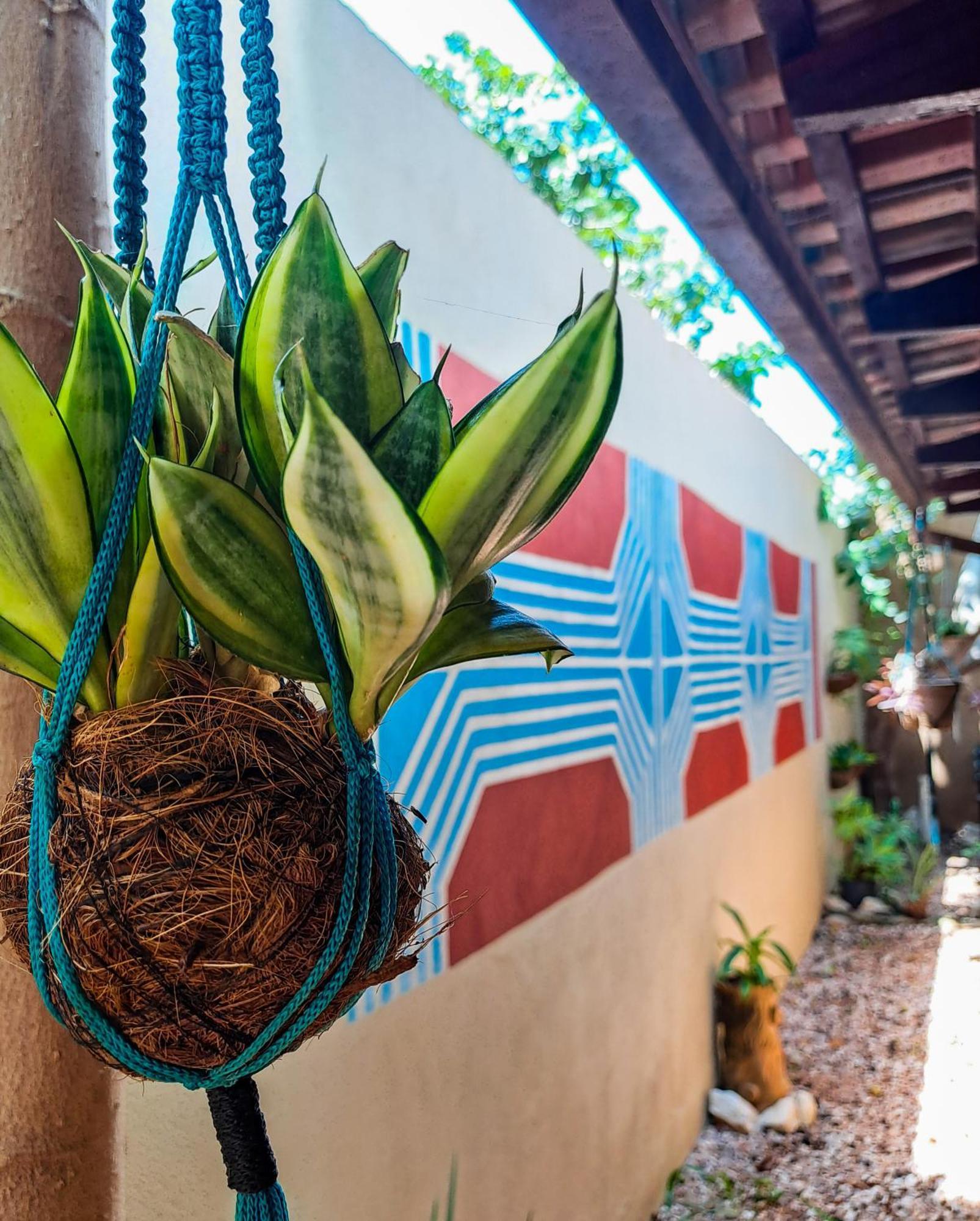 Savana Hostel São Jorge 外观 照片